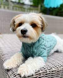 Jonathan Bailey Crowned PEOPLE’s Sexiest Man Alive 2025 — and His Reaction Stole the Show 3 Benson