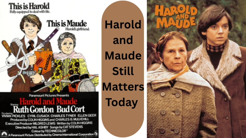 Harold and Maude Still Matters Today